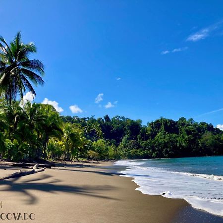 فيلا Eden Corcovado San Pedrillo المظهر الخارجي الصورة
