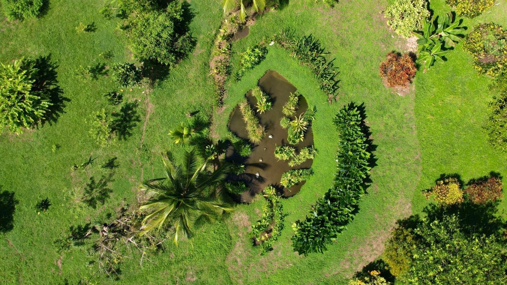فيلا Eden Corcovado San Pedrillo المظهر الخارجي الصورة